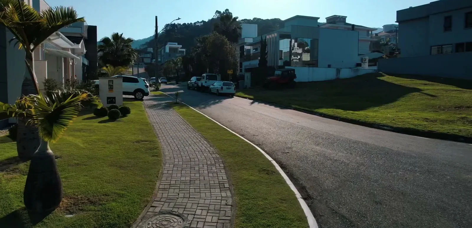 Rua interna do condomínio com calçada de pedra, gramado e palmeiras em frente às casas